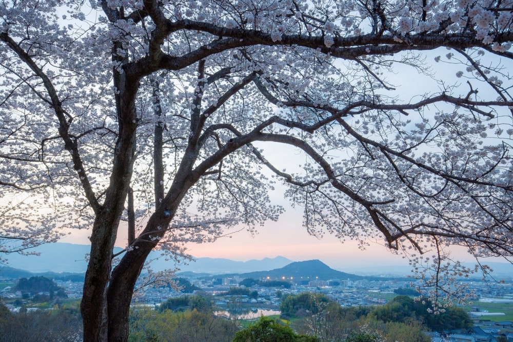 尼崎市